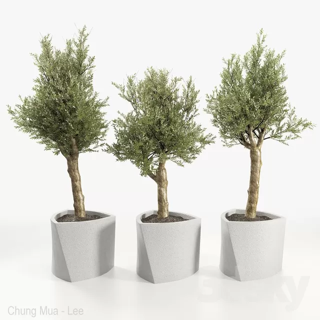 3DSKYFREE – PLANT - FLOOR 3DS MAX MODELS