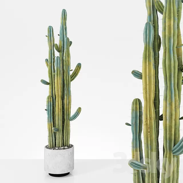 3DSKYFREE – PLANT - FLOOR 3DS MAX MODELS