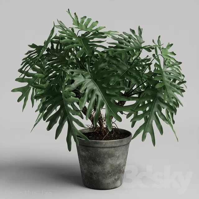 3DSKYFREE – PLANT - FLOOR 3DS MAX MODELS