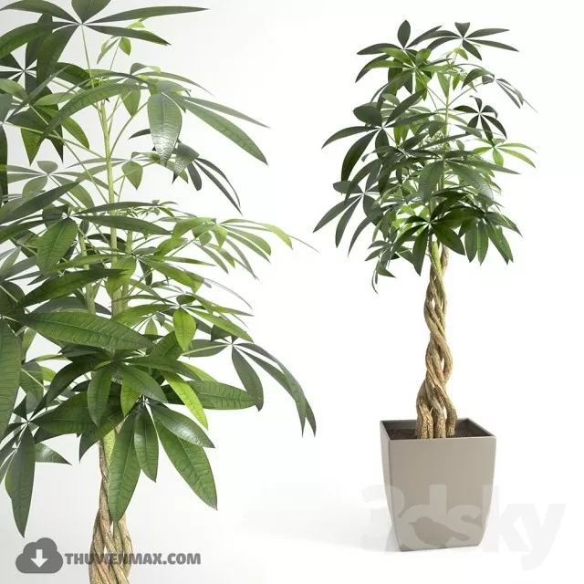 3DSKYFREE – PLANT - FLOOR 3DS MAX MODELS