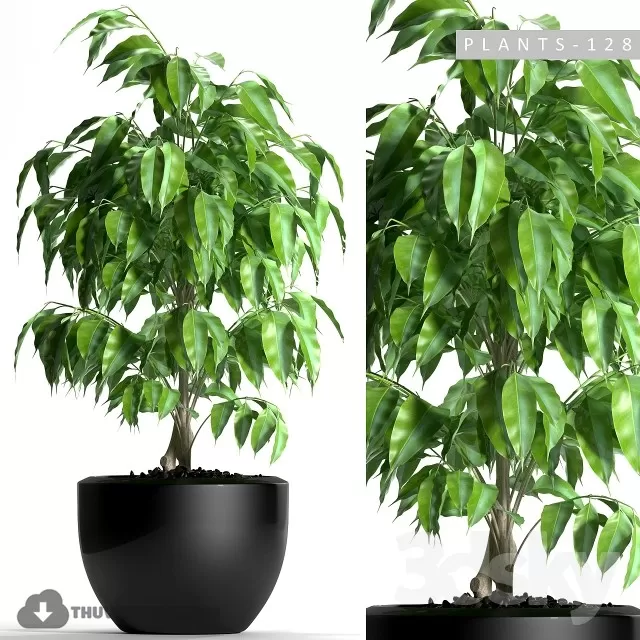 3DSKYFREE – PLANT - FLOOR 3DS MAX MODELS