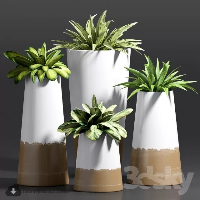 3DSKYFREE – PLANT - FLOOR 3DS MAX MODELS