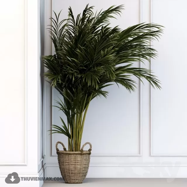 3DSKYFREE – PLANT - FLOOR 3DS MAX MODELS