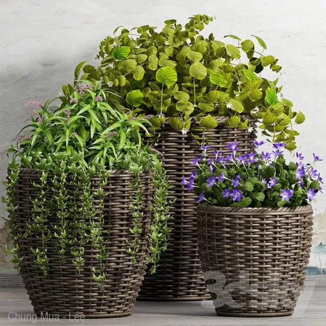 3DSKYFREE – PLANT - FLOOR 3DS MAX MODELS