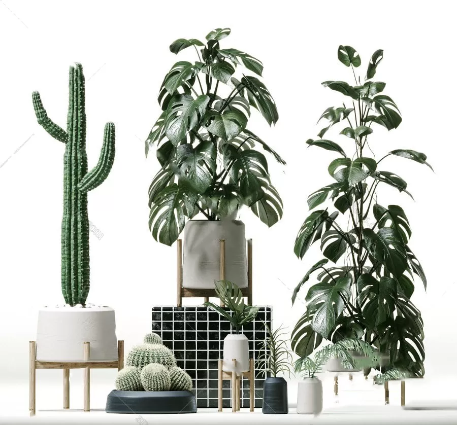 3DSKYFREE – PLANT - FLOOR 3DS MAX MODELS