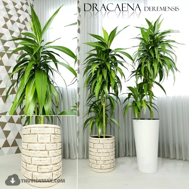 3DSKYFREE – PLANT - FLOOR 3DS MAX MODELS