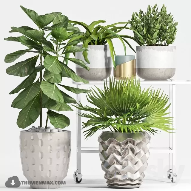 3DSKYFREE – PLANT - FLOOR 3DS MAX MODELS