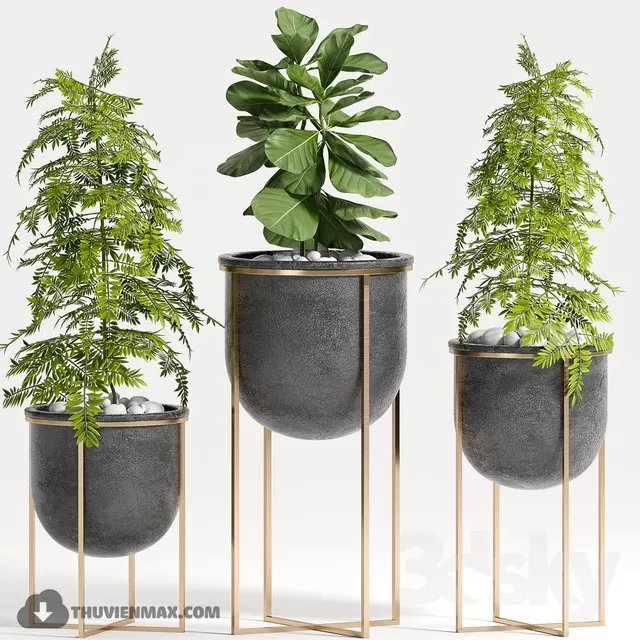 3DSKYFREE – PLANT - FLOOR 3DS MAX MODELS