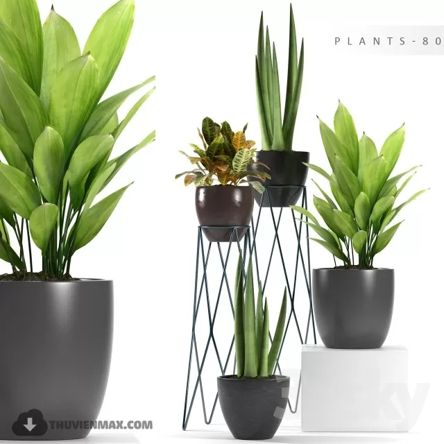 3DSKYFREE – PLANT - FLOOR 3DS MAX MODELS