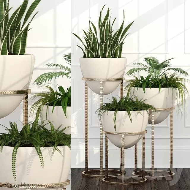 3DSKYFREE – PLANT - FLOOR 3DS MAX MODELS