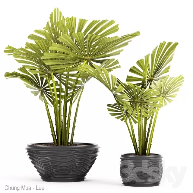 3DSKYFREE – PLANT - FLOOR 3DS MAX MODELS