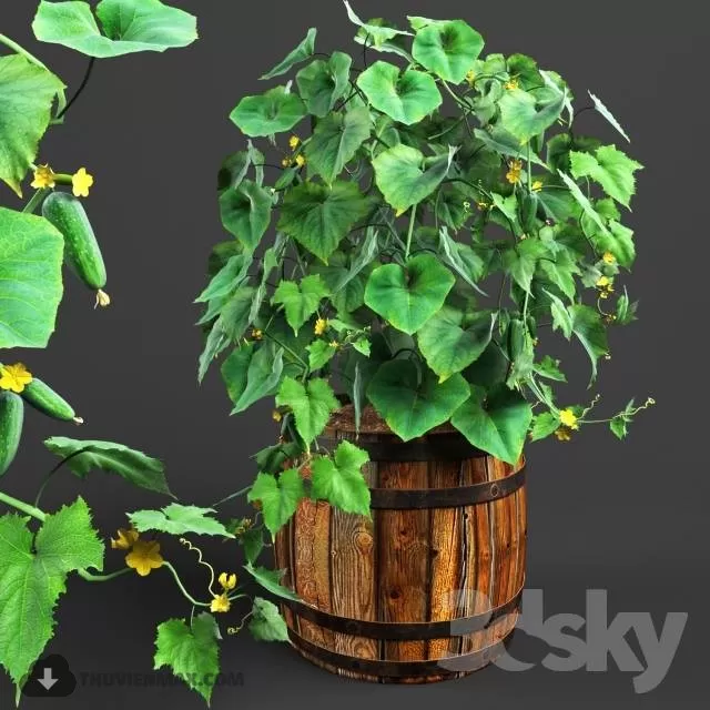 3DSKYFREE – PLANT - FLOOR 3DS MAX MODELS