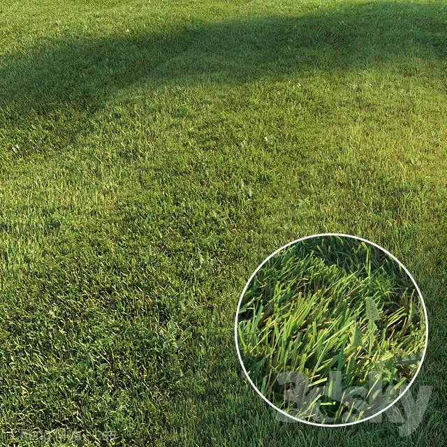 3DSKYFREE – PLANT - GRASS 3DS MAX MODELS