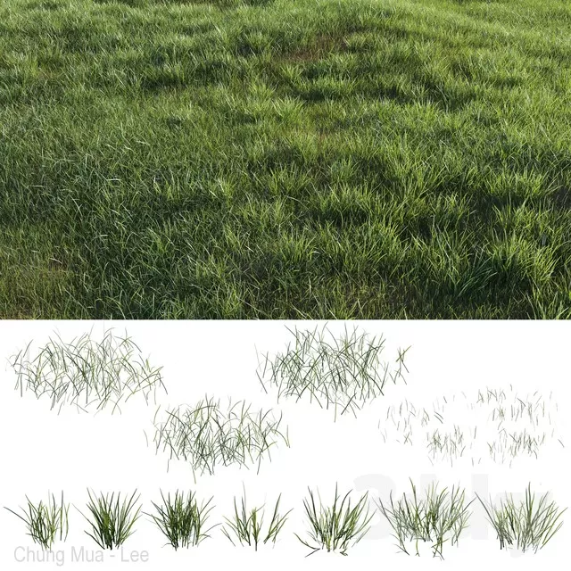 3DSKYFREE – PLANT - GRASS 3DS MAX MODELS