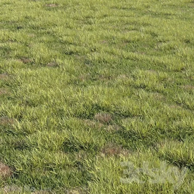 3DSKYFREE – PLANT - GRASS 3DS MAX MODELS