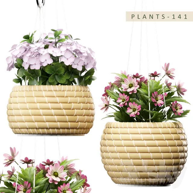 3DSKYFREE – PLANT - HANGING 3DS MAX MODELS
