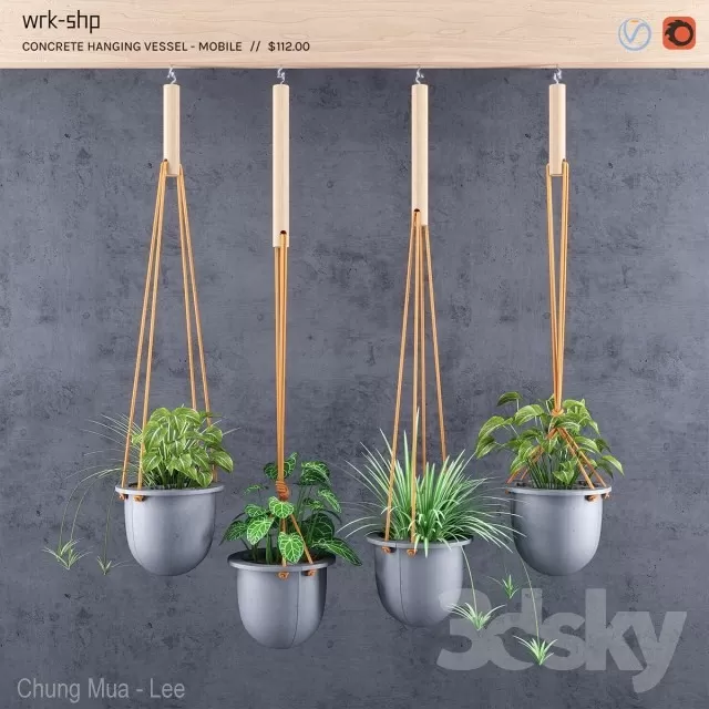 PLANT - HANGING 3D MODELS
