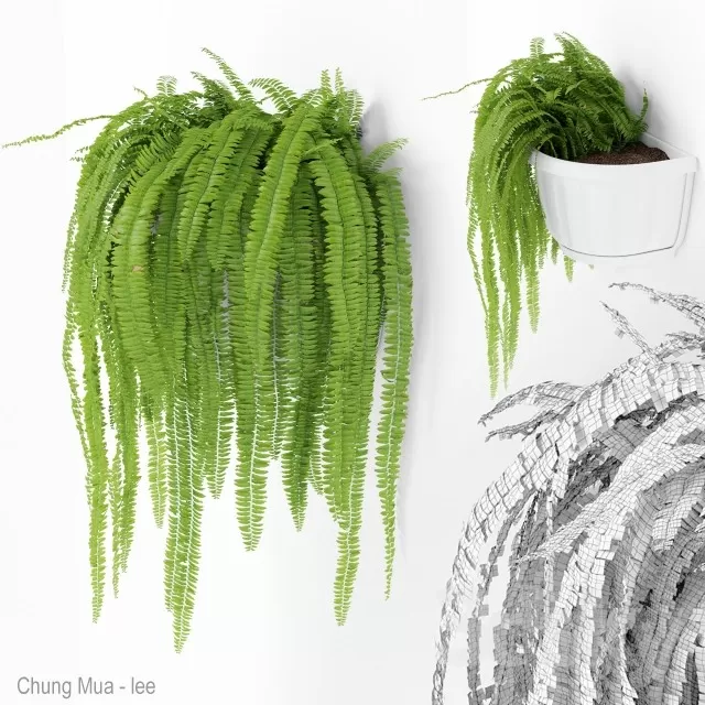 3DSKYFREE – PLANT - HANGING 3DS MAX MODELS