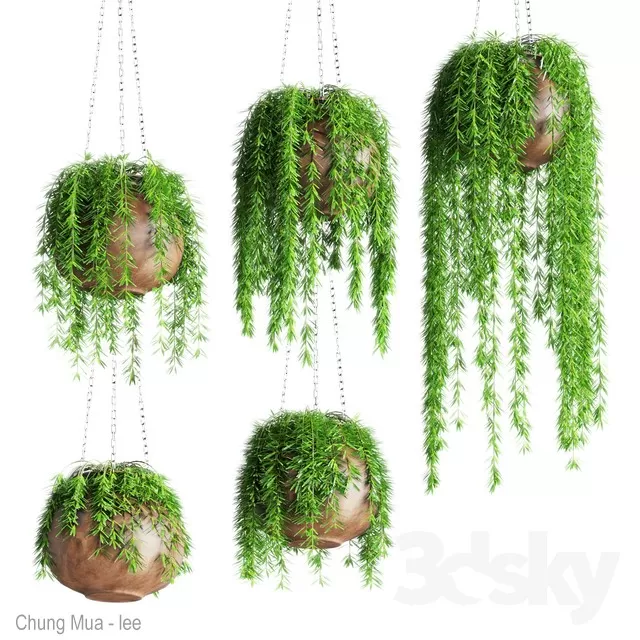 3DSKYFREE – PLANT - HANGING 3DS MAX MODELS