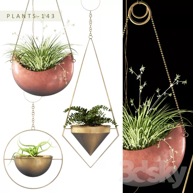 3DSKYFREE – PLANT - HANGING 3DS MAX MODELS