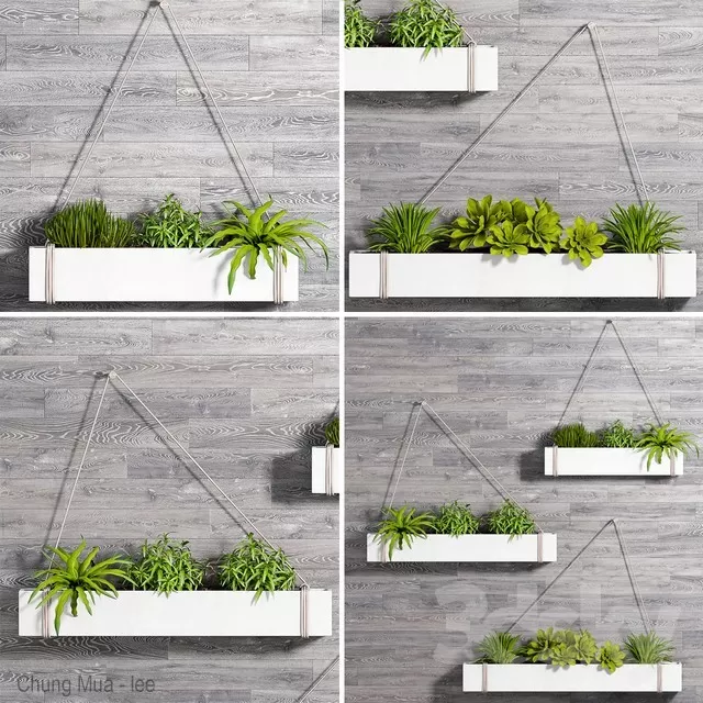 3DSKYFREE – PLANT - HANGING 3DS MAX MODELS