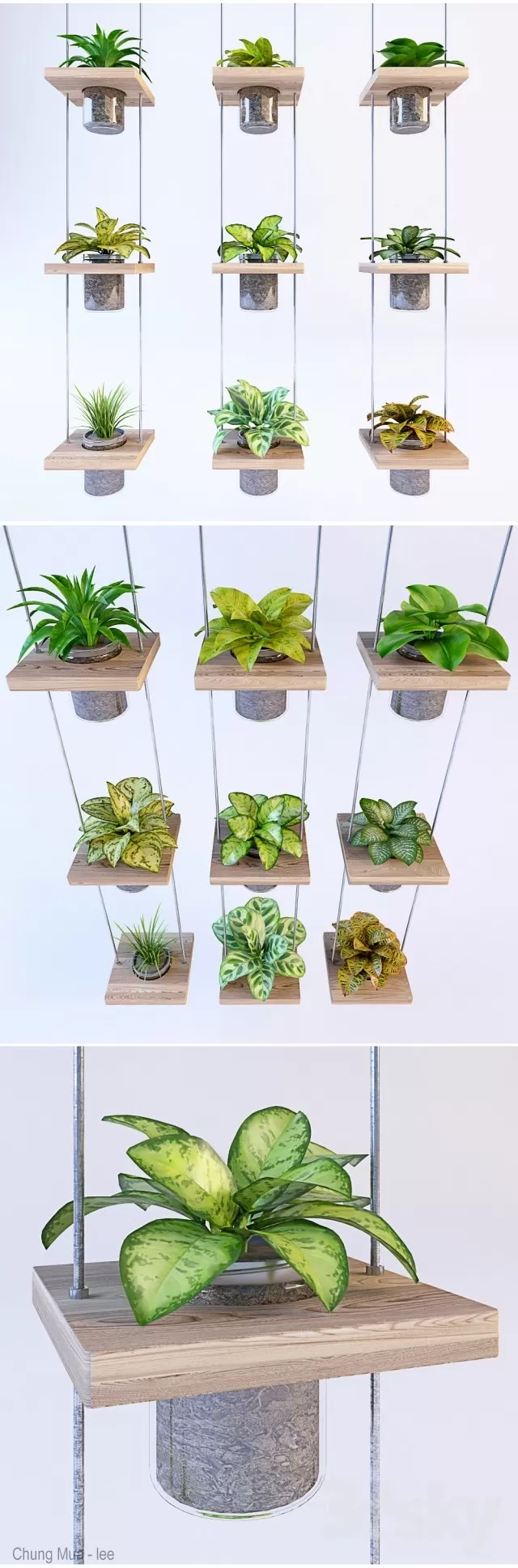 3DSKYFREE – PLANT - HANGING 3DS MAX MODELS