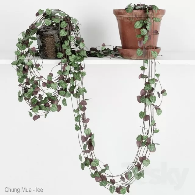 3DSKYFREE – PLANT - HANGING 3DS MAX MODELS