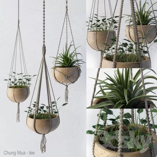 3DSKYFREE – PLANT - HANGING 3DS MAX MODELS