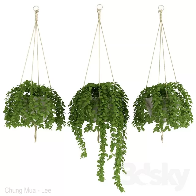 3DSKYFREE – PLANT - HANGING 3DS MAX MODELS