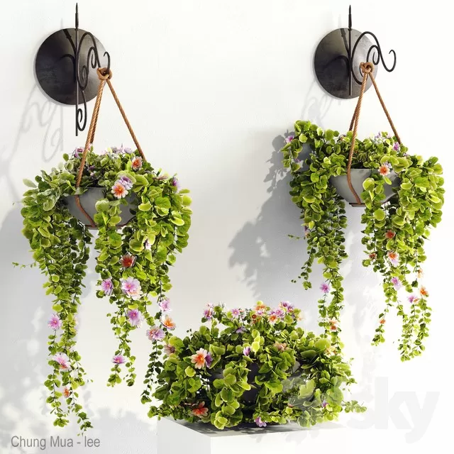3DSKYFREE – PLANT - HANGING 3DS MAX MODELS