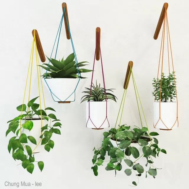 3DSKYFREE – PLANT - HANGING 3DS MAX MODELS