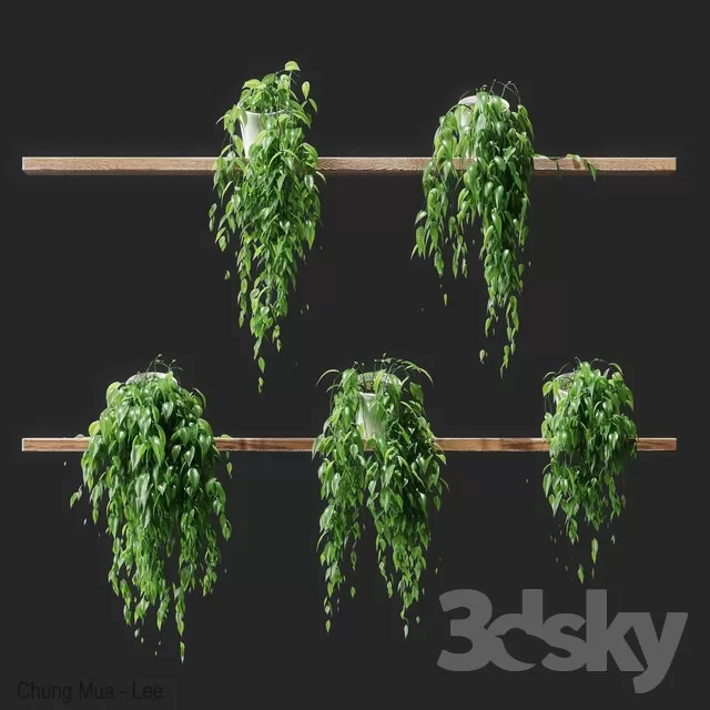 3DSKYFREE – PLANT - HANGING 3DS MAX MODELS