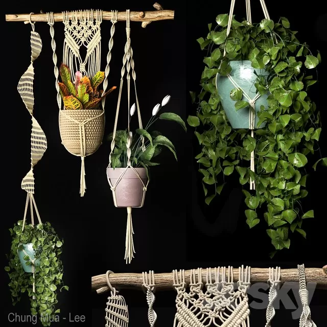 3DSKYFREE – PLANT - HANGING 3DS MAX MODELS