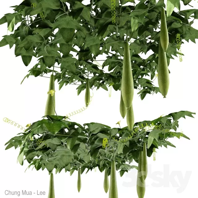 3DSKYFREE – PLANT - HANGING 3DS MAX MODELS