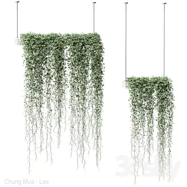 3DSKYFREE – PLANT - HANGING 3DS MAX MODELS