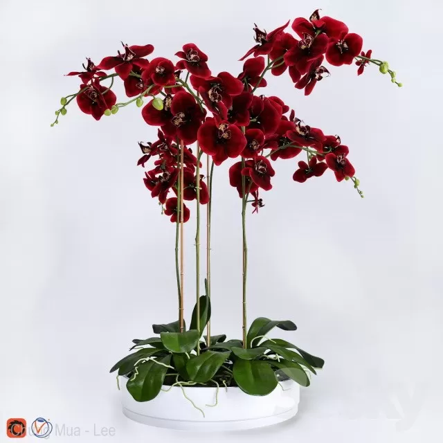 3DSKYFREE – PLANT - TABLE 3DS MAX MODELS