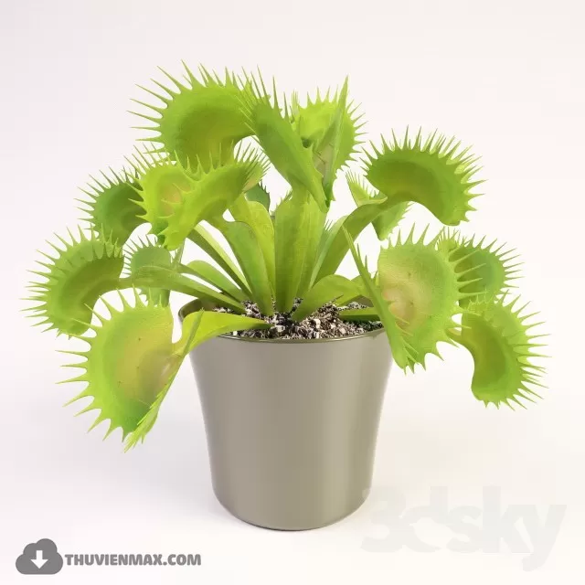 3DSKYFREE – PLANT - TABLE 3DS MAX MODELS