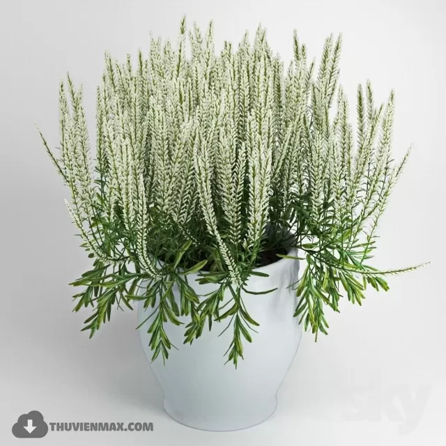 3DSKYFREE – PLANT - TABLE 3DS MAX MODELS