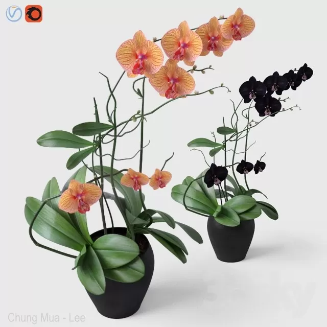 3DSKYFREE – PLANT - TABLE 3DS MAX MODELS