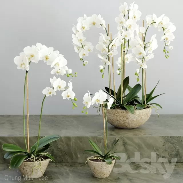 3DSKYFREE – PLANT - TABLE 3DS MAX MODELS