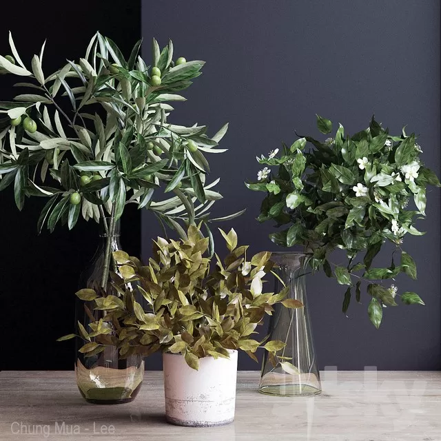 3DSKYFREE – PLANT - TABLE 3DS MAX MODELS