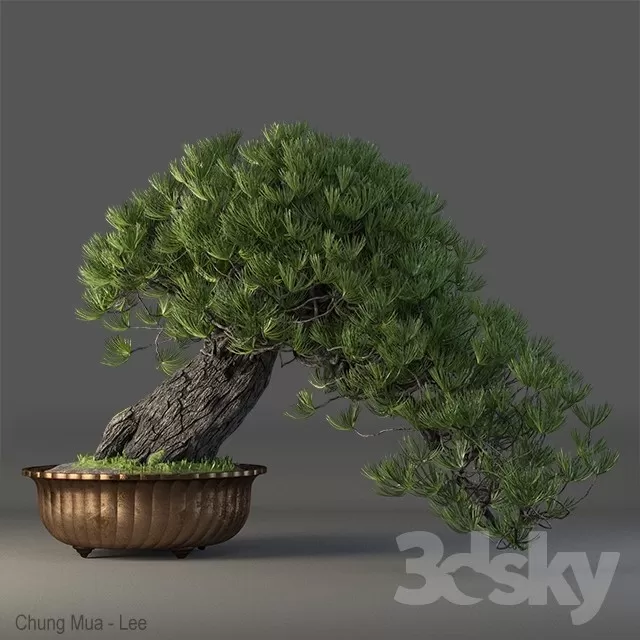 3DSKYFREE – PLANT - TABLE 3DS MAX MODELS