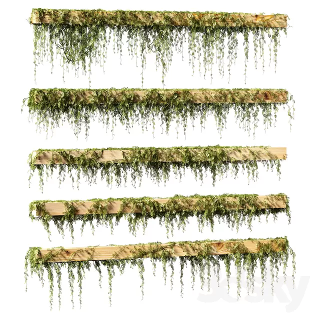 3DSKYFREE – PLANT - WALL 3DS MAX MODELS