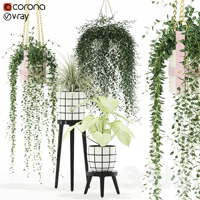 3DSKYFREE – PLANT - WALL 3DS MAX MODELS