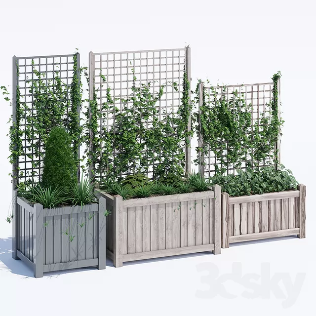 3DSKYFREE – PLANT - WALL 3DS MAX MODELS