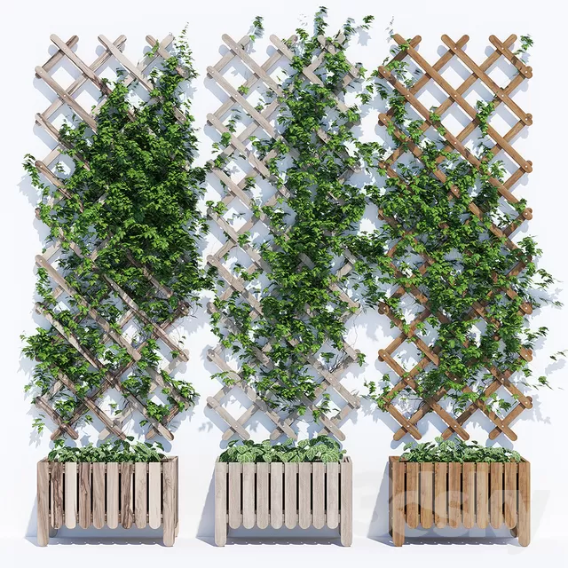 3DSKYFREE – PLANT - WALL 3DS MAX MODELS