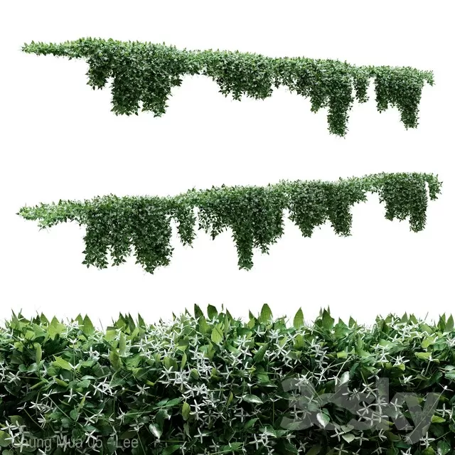 3DSKYFREE – PLANT - WALL 3DS MAX MODELS