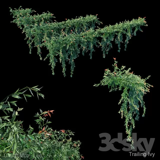 3DSKYFREE – PLANT - WALL 3DS MAX MODELS