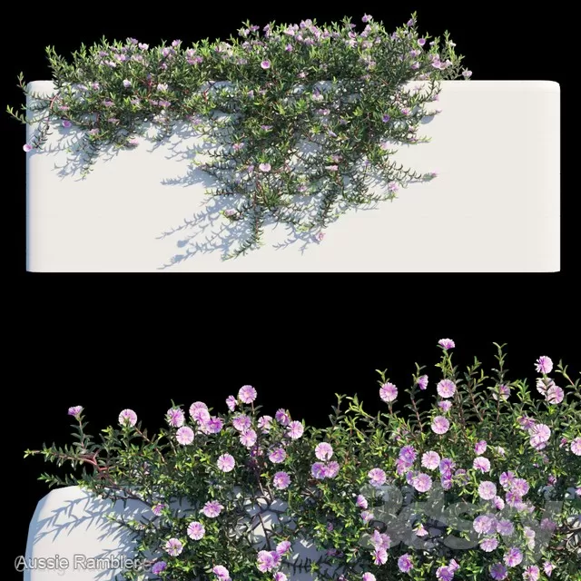 3DSKYFREE – PLANT - WALL 3DS MAX MODELS