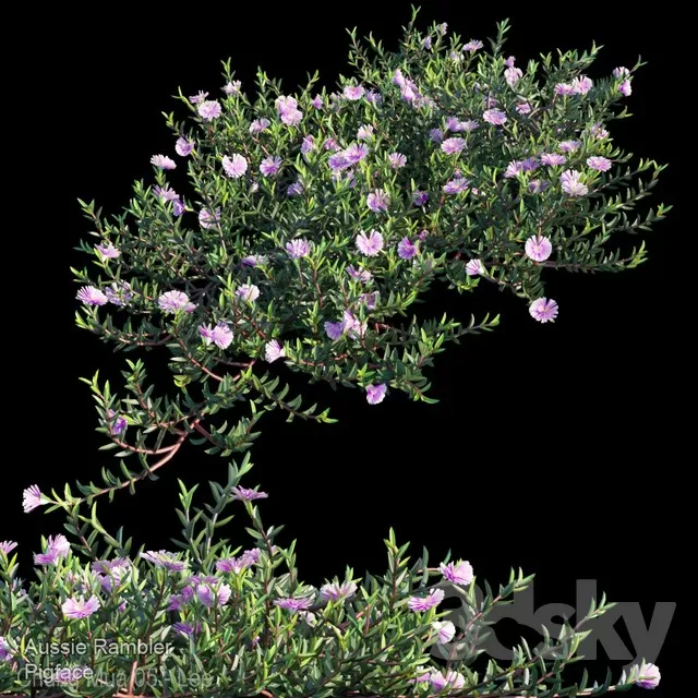 3DSKYFREE – PLANT - WALL 3DS MAX MODELS